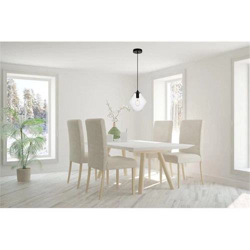 Living District Placido 1-Light Transitional Metal Pendant in Black and Clear - Picture 2 of 6