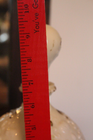 Bild 13 von 15