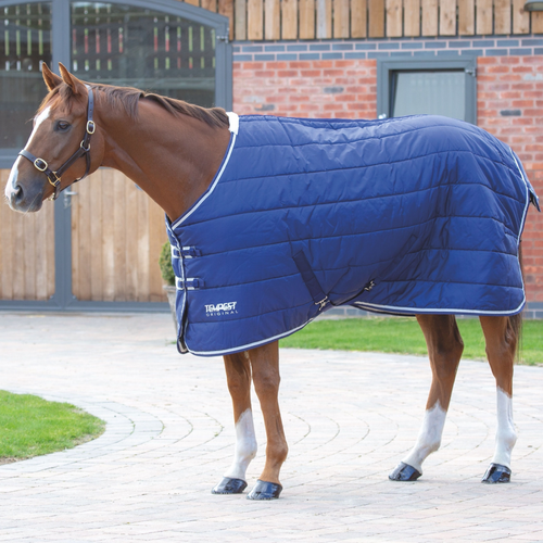 Shires Tempest Original 200g Stable Rug - Picture 15 of 28