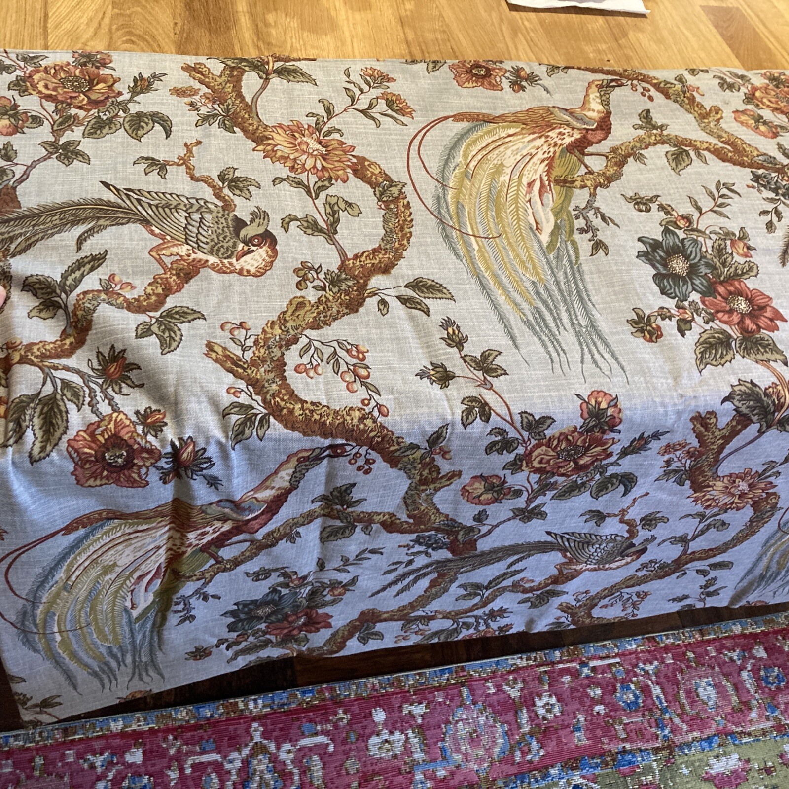 Picture 9 of 10