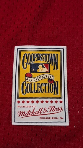 TIM RAINES MONTREAL EXPOS MITCHELL NESS COOPERSTOWN COLLECTION BATTING JERSEY XL - Picture 3 of 7