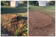 stump grinder hire with operator