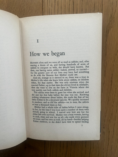 Mad As Rabbits by Elizabeth Lane & Paul Rigby Vintage 1963 Hardcover with Jacket - Picture 6 of 12