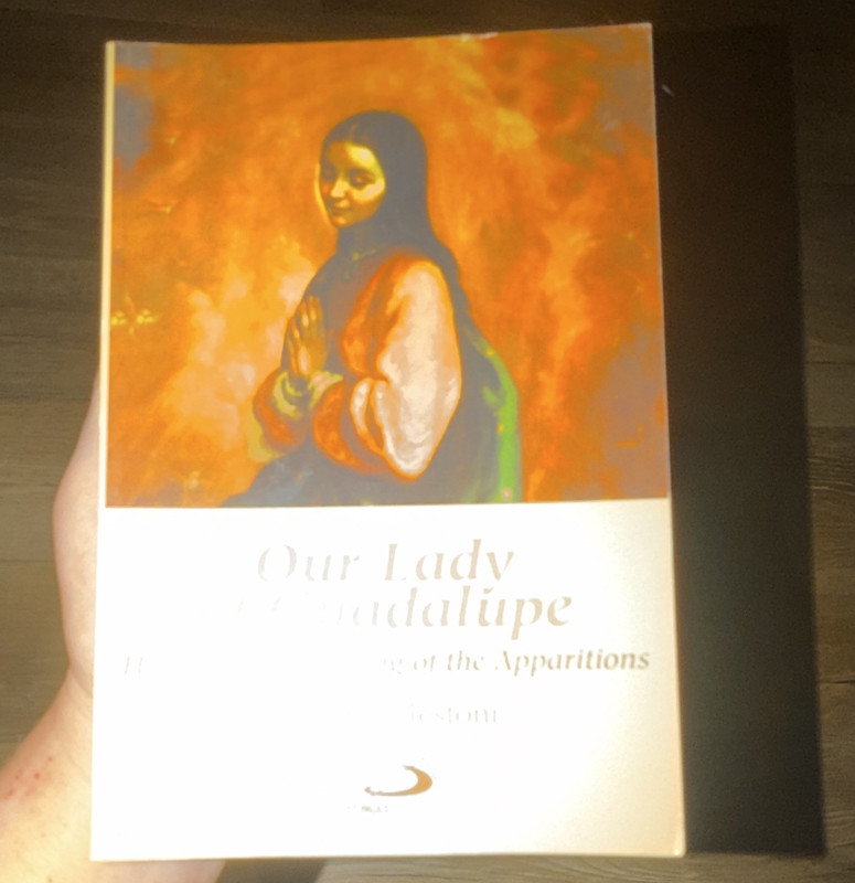 Our Lady of Guadalupe PB Manuela Testoni Alba House Catholic Apparitions
