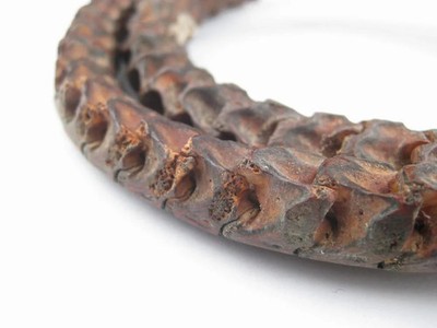 Real Snake Vertebrae Beads from Africa Large 14mm Nigeria African Brown Bone