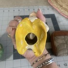 Foto 14 di 15