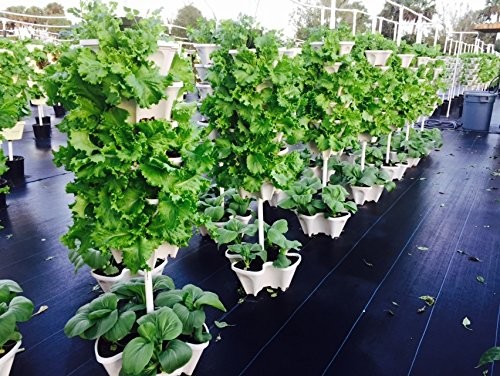 3 Tier Stackable Garden,Indoor,Outdoor Vertical Planter Set,Self Watering Tie... - Picture 7 of 8