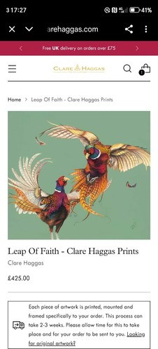Clare Haggas Leap Of Faith Signed Print Large Mounted And Framed. 4/100 - Picture 6 of 7