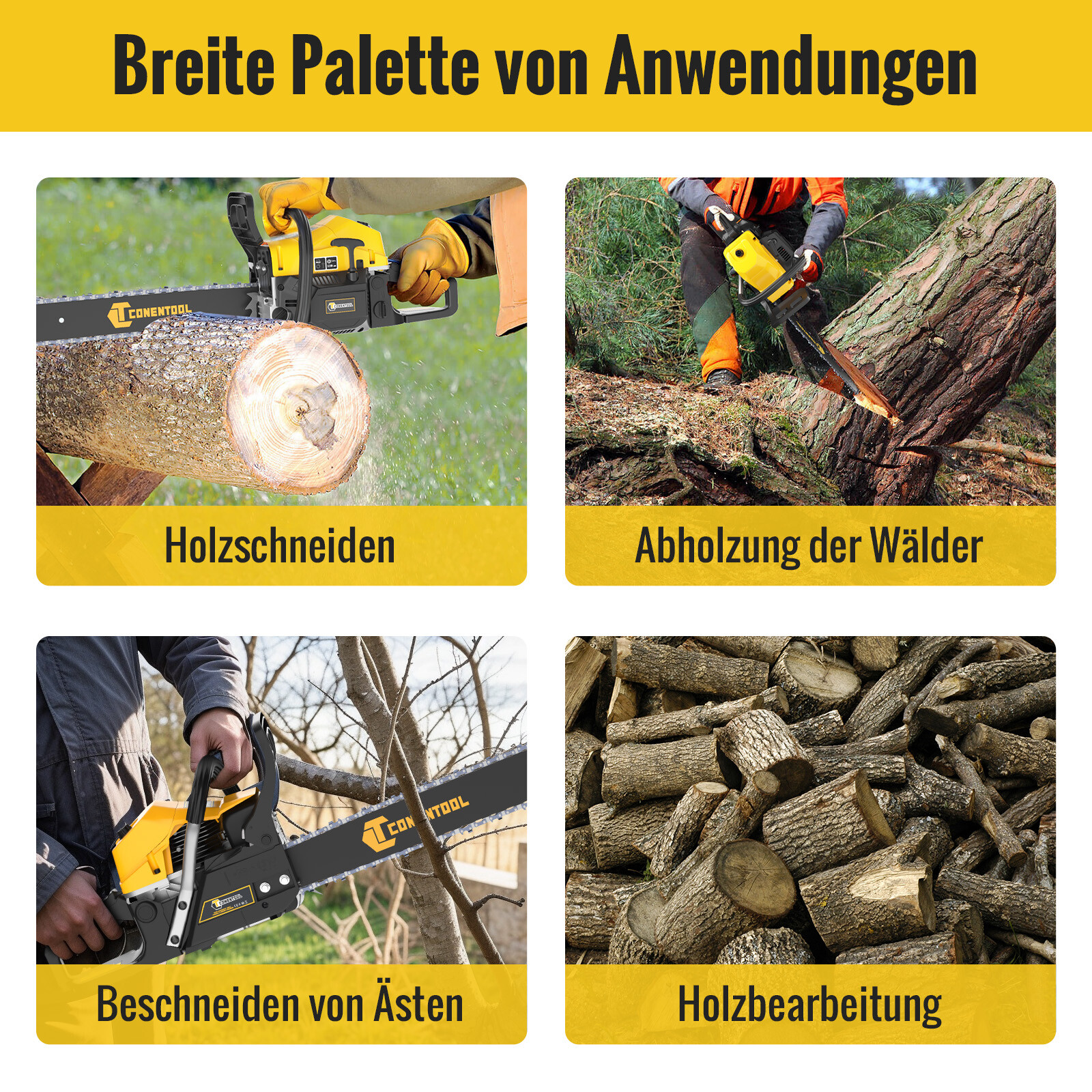 Bild 10 von 10