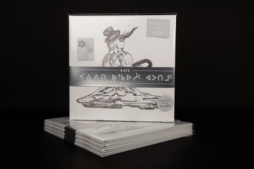 Kate Bush - 50 Words For Snow(Polar Edition) (2× Vinyl LP 2024, Special Edition) - Picture 3 of 13