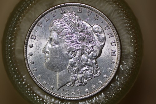 1886 Morgan Silver Dollar Gorgeous Old Album Coin BU - Picture 2 of 6