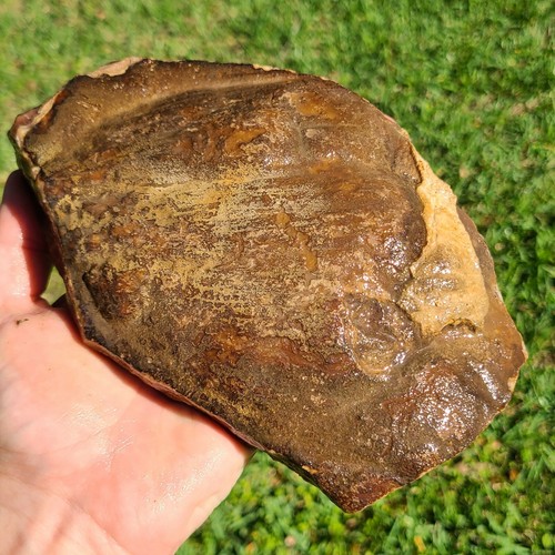 BROWN RHODOCHROSITE LAPIDARY ROUGH ARGENTINA 3lb 3.2oz - Picture 6 of 6