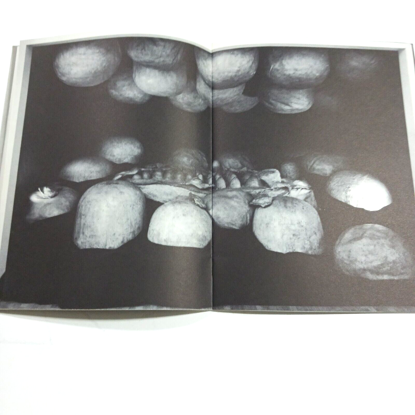 Picture 6 of 7