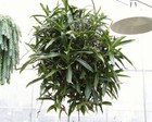Foto 4 di 5