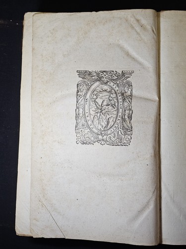 1600 FOLIO Wolfgang Musculus BIBLE COMMENTARIES GENESIS MOSES In Genesim Mosis - Imagen 12 de 24