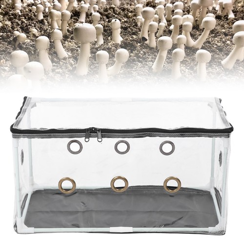 Aislante Hidratante Caja Rellena Setas PVC Cubierta Transparente - Imagen 21 de 22