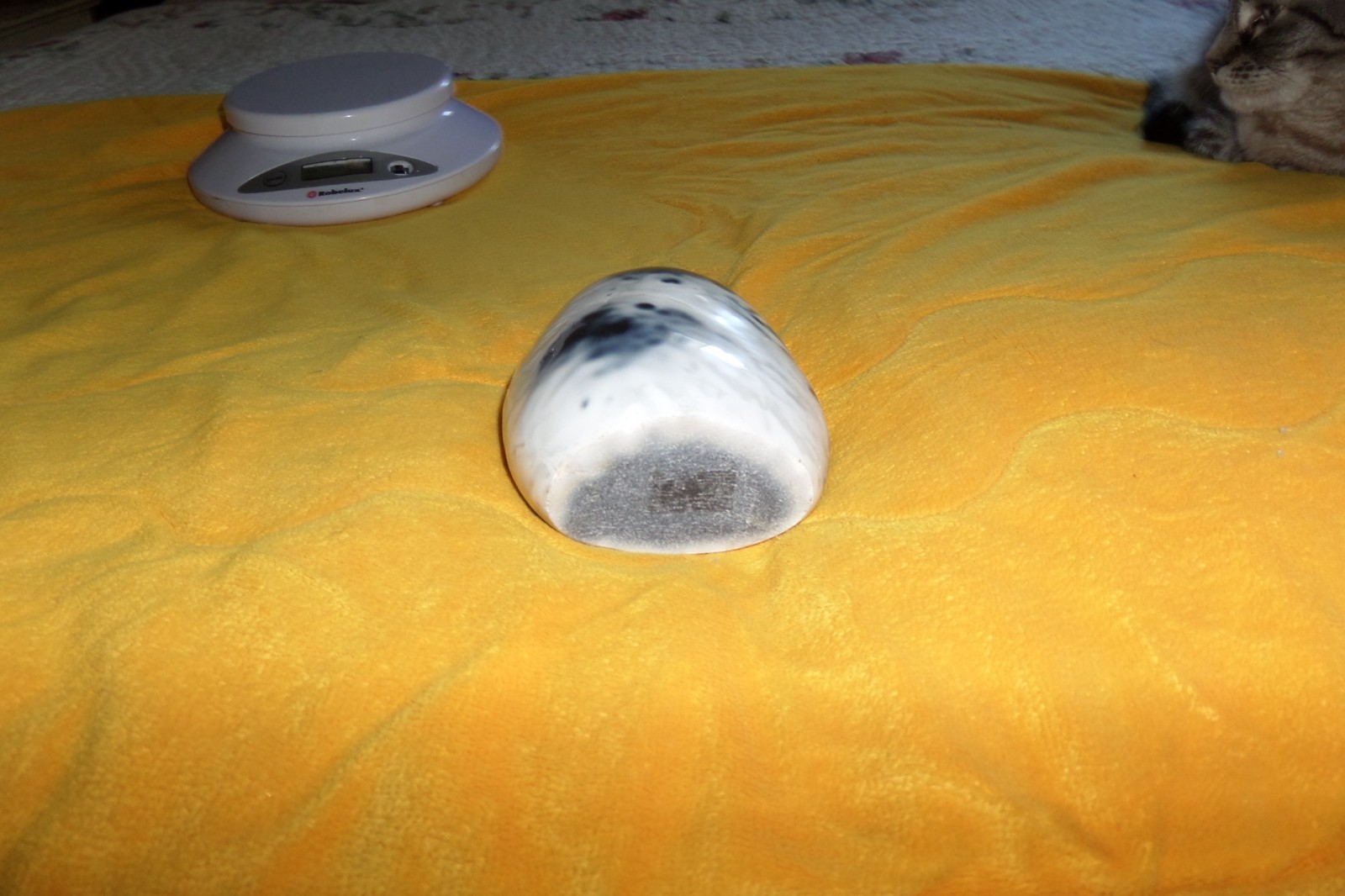 Bild 6 von 8