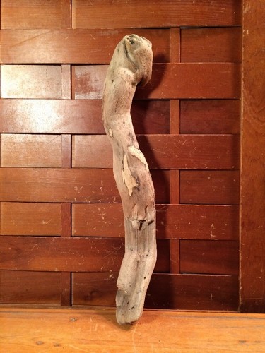 Beautiful 14" DRIFTWOOD Piece Art Terrarium Taxidermy Aquarium Beach Wood DECOR - Picture 5 of 11