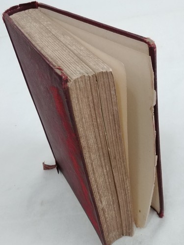 1902 Mr. World and Miss Church-Member 20th C. Allegory Rev WS Harris Antique HC - Picture 6 of 24