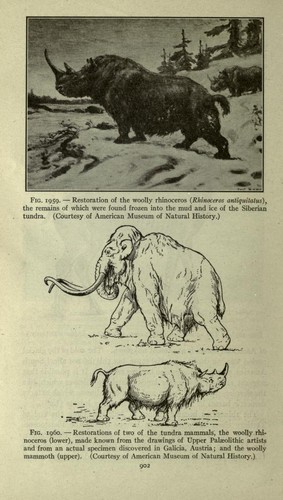 A textbook of Geology General Historical Vintage Ebooks 2 Volumes on 1 DVD - Bild 2 von 12