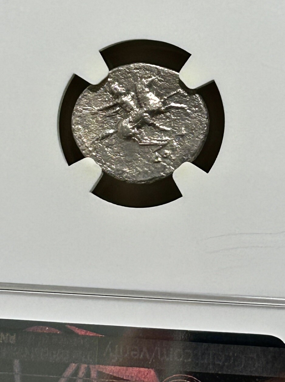 Picture 4 of 4