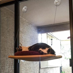 Pet-Cat-Hammock-Window-Suction-Cup-Hanging-Easy-Assemble-Firm-Sleeping-Bed