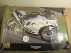 Triumph 955 I 955i Daytona Racing Dealer Motorcycle Two Sided Poster 43