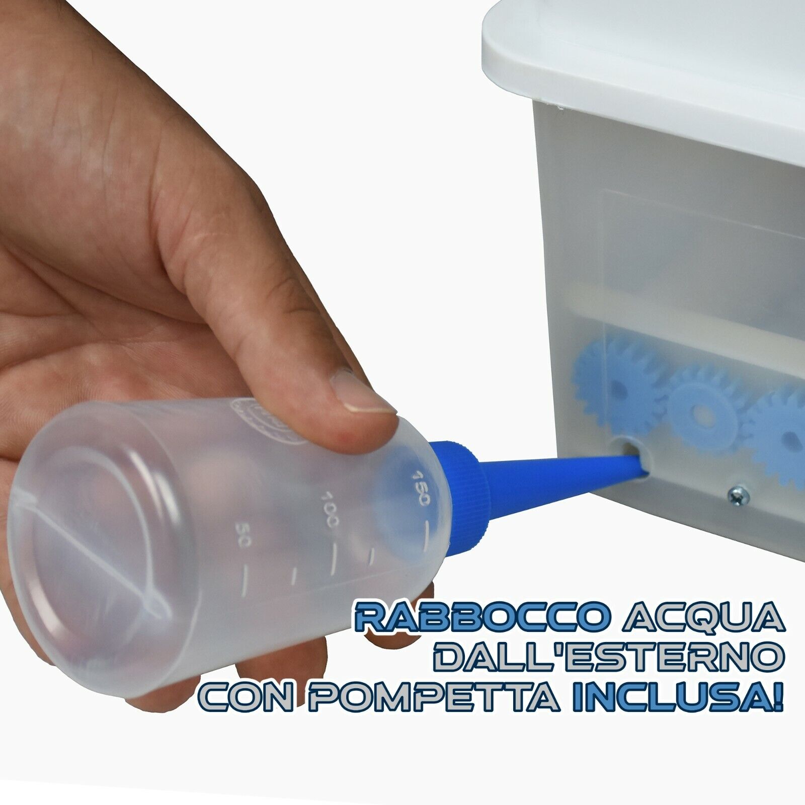 Imagen 7 de 12