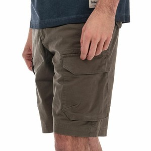 timberland webster lake cargo shorts