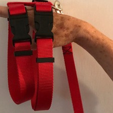 Adjustable Hog PIG Harness 2 Curved Buckles W/ Leash XS to XXX  Super Tough