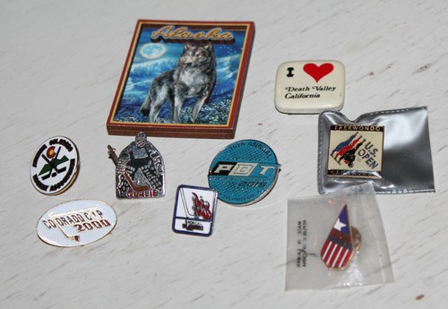 Lapel Pin & Magnet Lot - Mixed Souvenir Lot   Travel, USA Swim, US OPEN - Picture 1 of 10
