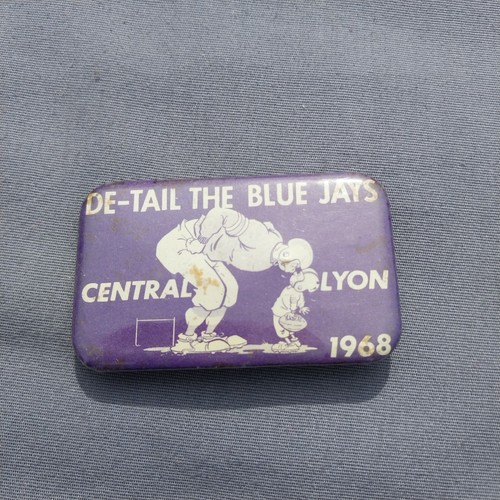 1968 De Rail The Blue Jays Central Lyon Rock Rapids IA Iowa Button Pin - Picture 1 of 2