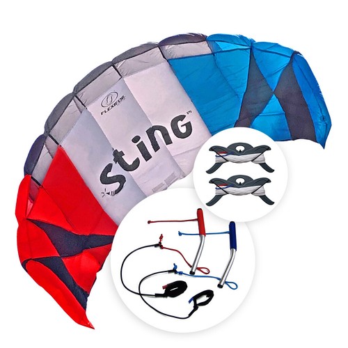 Flexifoil Power Kite 2.4m² Sting 2023 Beach Sport Stunt Trick Adult Kids Kites - Picture 1 of 9