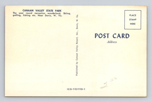 Davis WV-West Virginia, Canaan Valley State Park, Antik, Vintage Postkarte - Bild 2 von 2