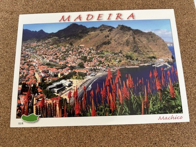 Ungebrauchte AK Madeira, Machico, Top Zustand