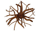 Madusa Teak Tree Spirit SUN GODDESS Face Carfted Handmade Mask Teak Root Tiki