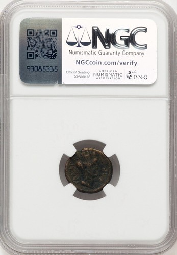 Titus 79-81 AD AE 16 Bronze Decapolis Gadara SC Coin Roman Empire, NGC Ch F - Picture 4 of 5