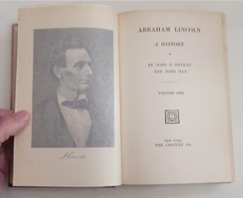 ABRAHAM LINCOLN A HISTORY 10 VOLUMES JOHN G NICOLAY JOHN HAY CENTURY 1914 ILLUS - Foto 3 di 12