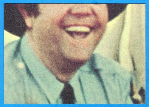 1981 Donruss THE DUKES OF HAZZARD # 14 Daisy Duke (ex) - Picture 2 of 2