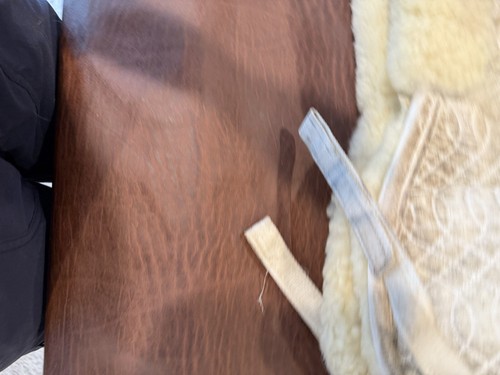 Mattes Sheepskin Rolled Back Pad - White - Medium- Gently Used - Picture 7 of 7