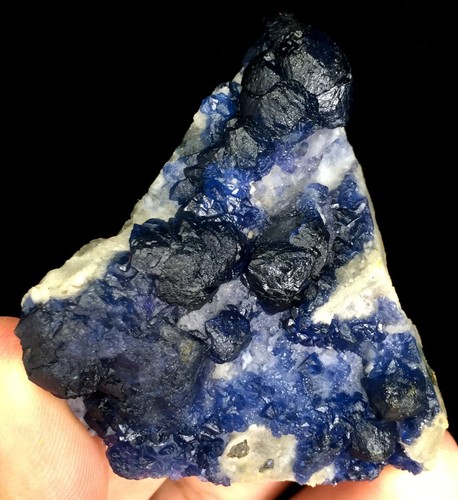71 g Nuevo Encontrar Raro Natural Azul Profundo Fluorita sobre Cuarzo Blanco Muestras ip0715 - Imagen 6 de 12