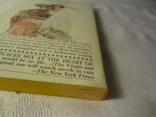 The Virgin And The Gipsy - D.H. Lawrence - 1968 - Paperback - Picture 11 of 20