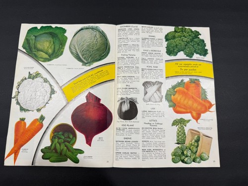 Folletos de frutas, flores, semillas de Glen Brothers & HB Burdick's de 1930... 2 artículos - Imagen 5 de 13