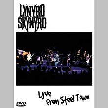 Lynyrd Skynyrd - Lyve from Steel Town | DVD | Zustand sehr gut