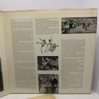 Foto 11 di 12