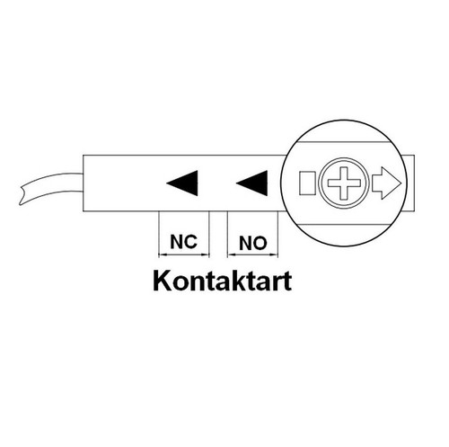 Interruttore di flusso interruttore a pagaia PP UNI 3/4" IG 250V AC 1A - Foto 4 di 5