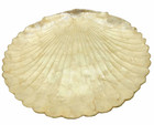 Capiz Shell Tray Plate Pearlescent Scalloped Edge 13" X 13" Serve Ware