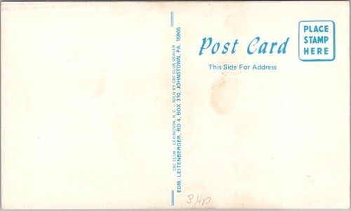 Tarjeta postal de radioaficionado QSL Johnstown, Pennsylvania "The Schneiders" década de 1960 sin usar - Imagen 2 de 2
