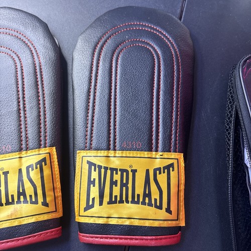 Everlast #4310 Speed Bag Sparring Gloves 🥊 Punching Bag NIP Sugar Shane Mosley - Picture 5 of 7