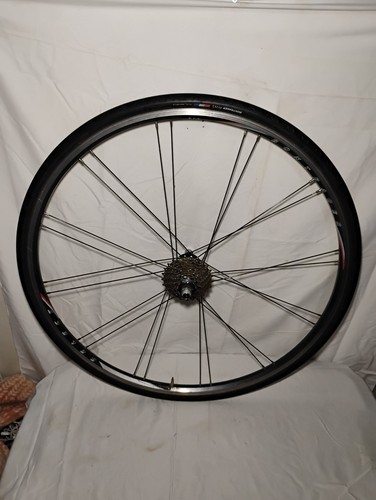 700c Bontrager Select Hinterrad 24 Speichen 9 Gang Bontrager Nabe Schnellspanner